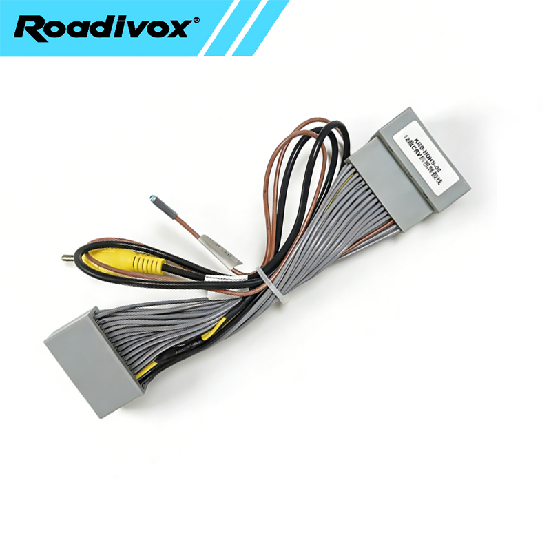 Car Accessories Usa - Cable convertidor de enchufe de vídeo